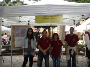 IMG-20150307-WA0004-300x225